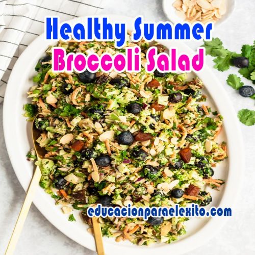 Healthy Summer Broccoli Salad Educacionparaelexito