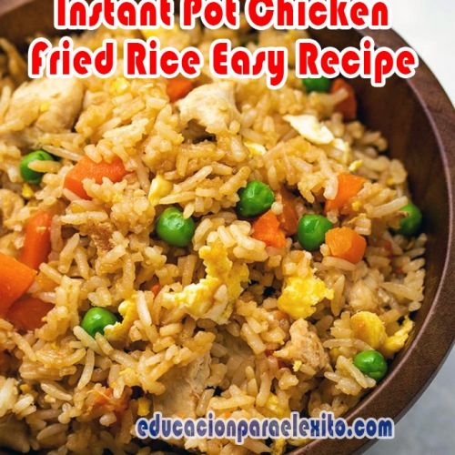 https://educacionparaelexito.com/wp-content/uploads/2020/03/Instant-Pot-Chicken-Fried-Rice-Easy-Recipe-500x500.jpg